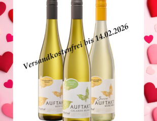 Valentinstag – Paket