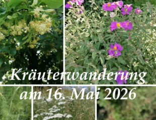 Kräuterwanderung