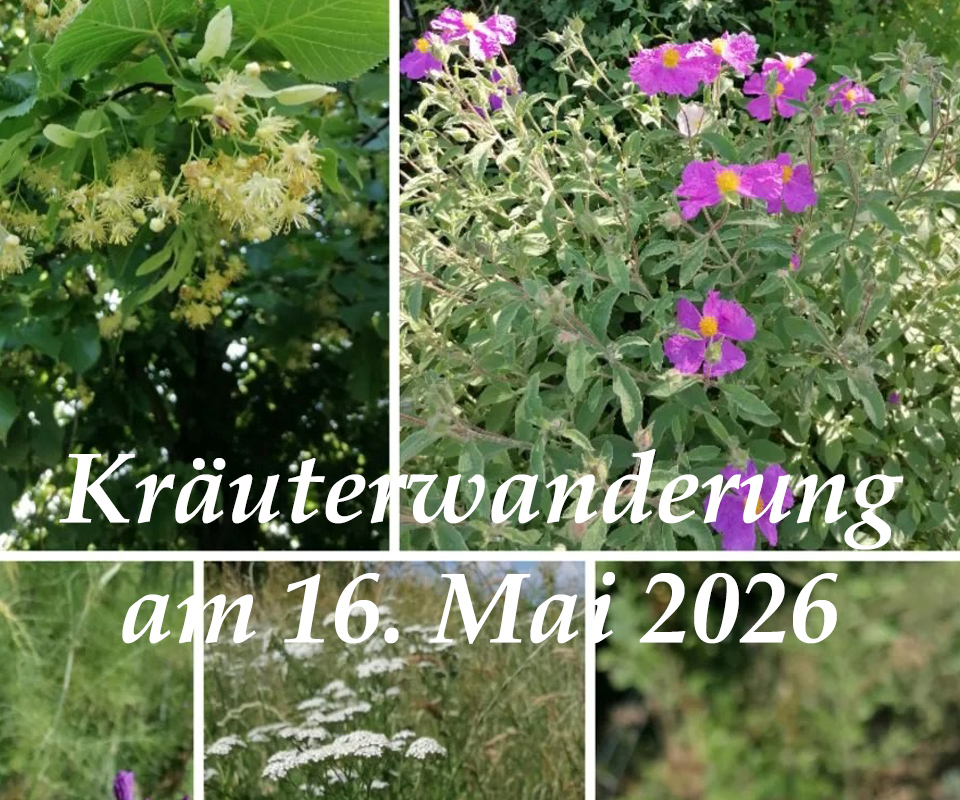 Kräuterwanderung